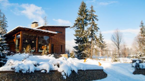 Гостиница Pension Iara, Ариешени